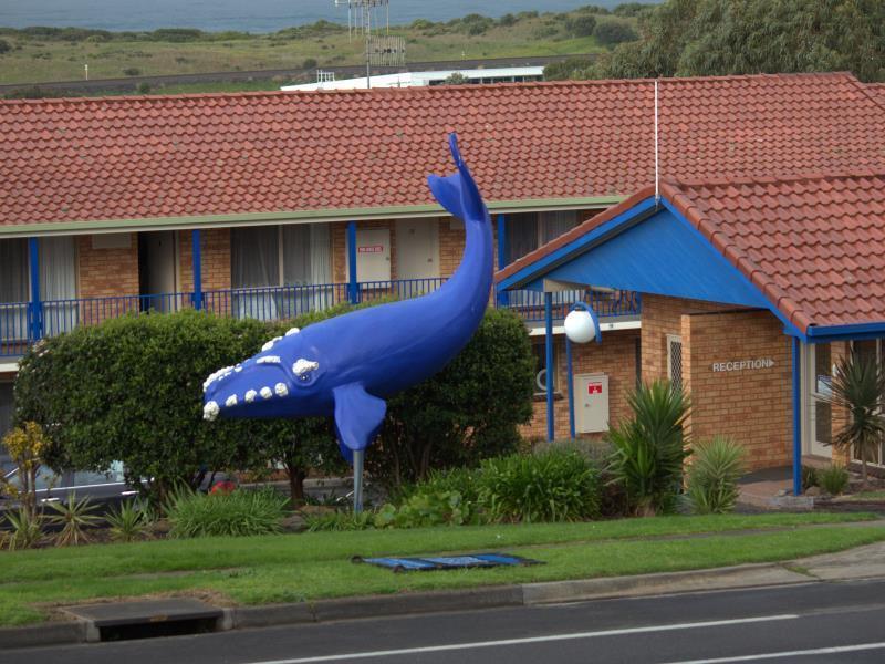 Blue Whale Motor Inn & Apartments Warrnambool Zewnętrze zdjęcie