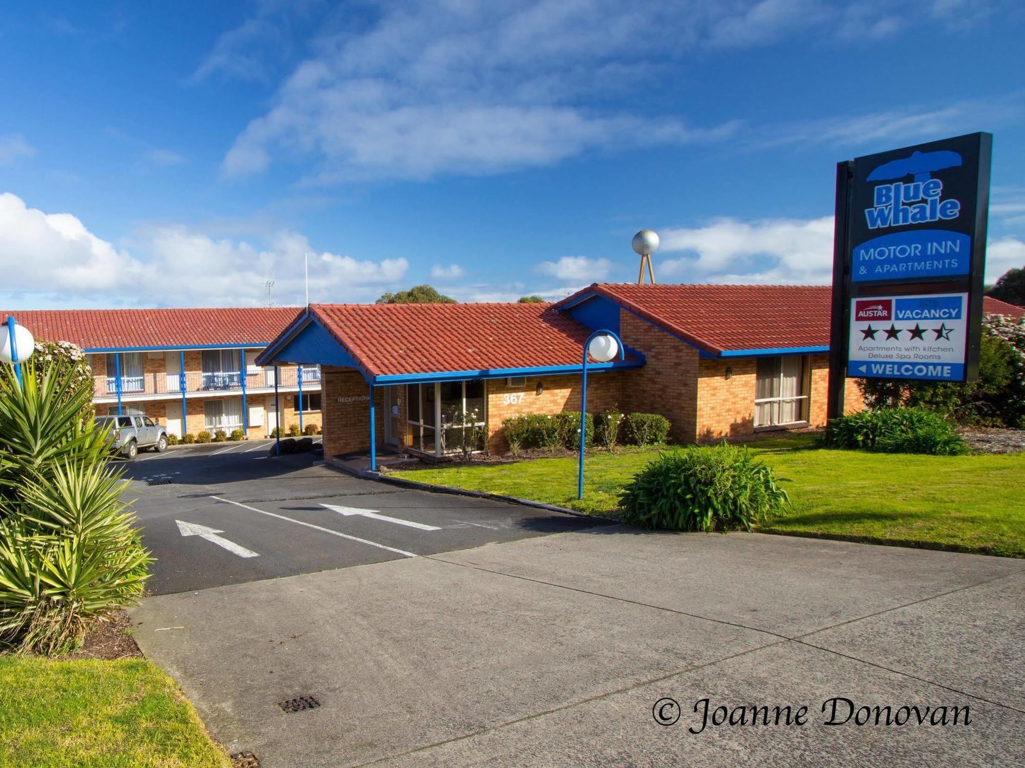 Blue Whale Motor Inn & Apartments Warrnambool Zewnętrze zdjęcie