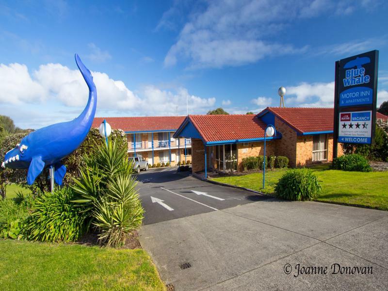 Blue Whale Motor Inn & Apartments Warrnambool Zewnętrze zdjęcie